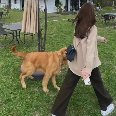 嘉庆传奇